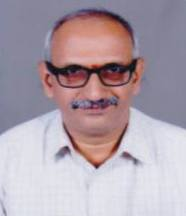 Mr. D V Paleshwar